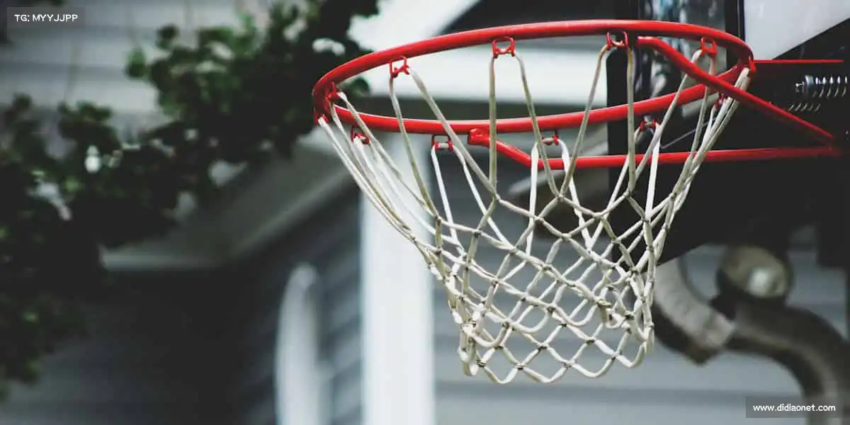 BC贷网址入口——汗水浇筑热爱,拼搏成就精彩!🏋️♀️